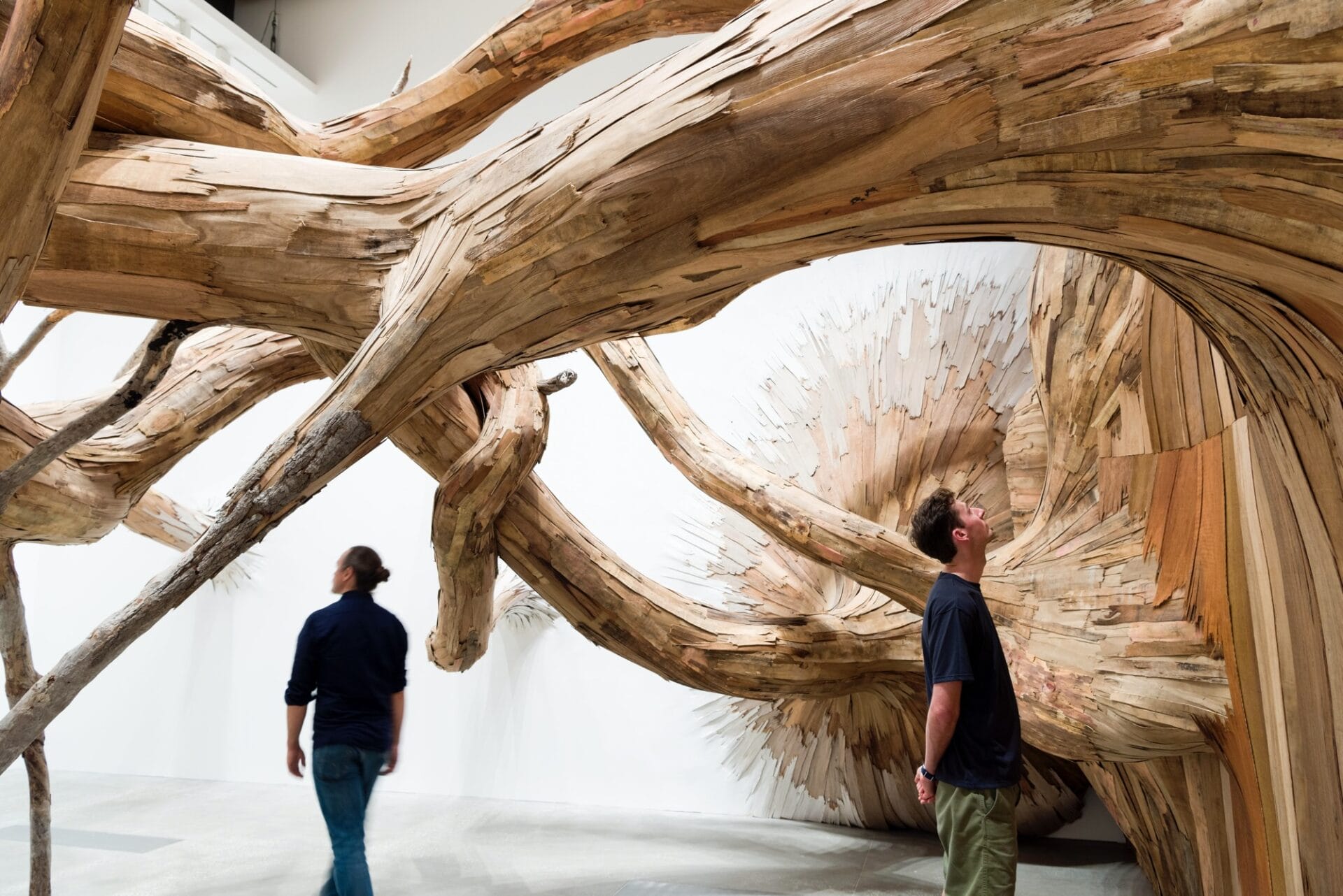 Henrique Oliveira’s Arboreal Labyrinth Ruptures the Entrance to an Enchanting Exhibition