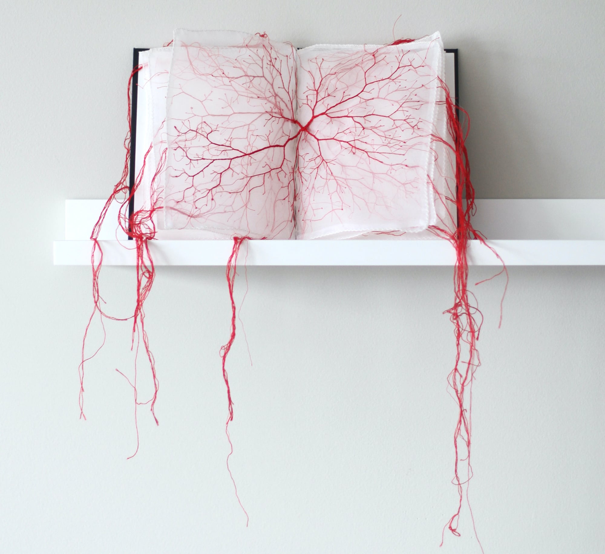 Knotted Systems of Red Thread Dangle from Fabric Books and Letters by Rima Day