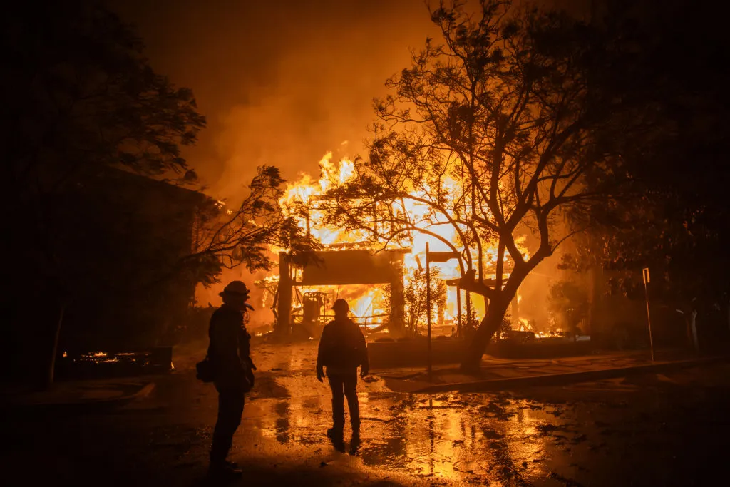 Art Collectors Accused of Hoarding Water That Could be Used to Fight LA Wildfires, Artist and Iowa Art Center Reach Settlement: Morning Links for January 15, 2025